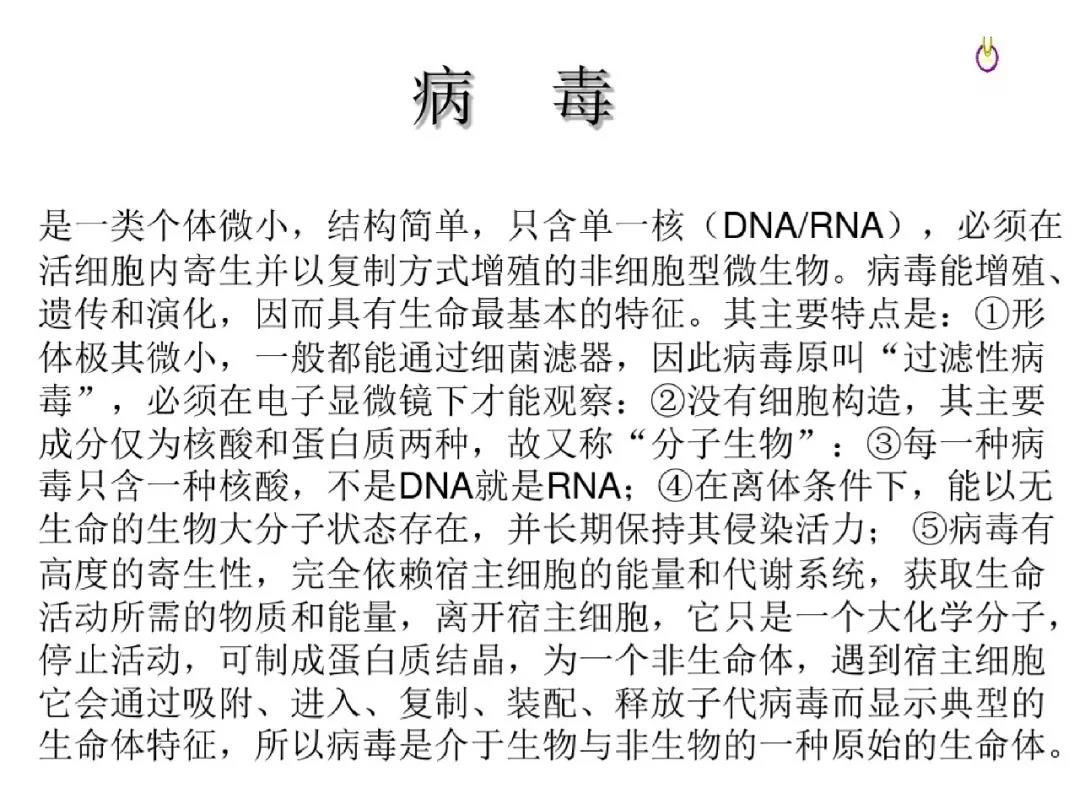 2024年澳门原料免费1688